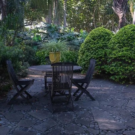 El Jardin De La Palapa Los Realejos