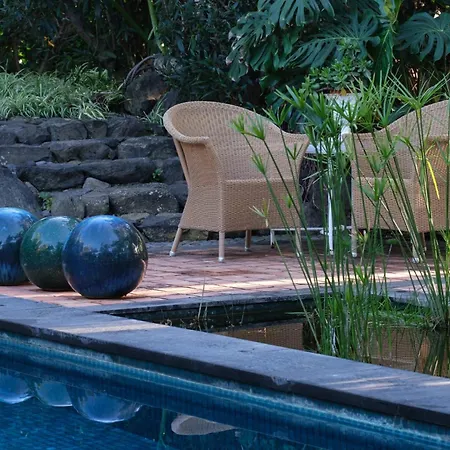 El Jardin De La Palapa *