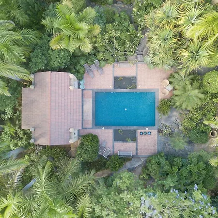 El Jardin De La Palapa Villa Los Realejos