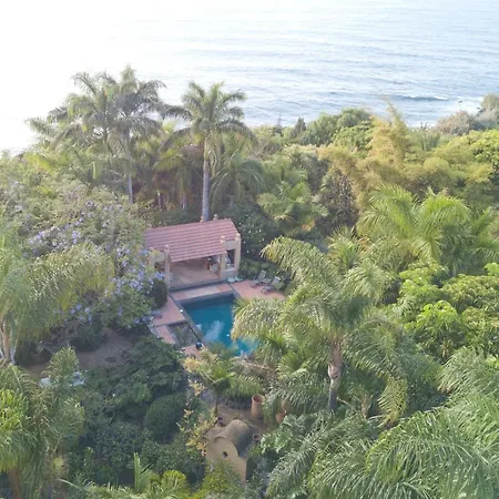 El Jardin De La Palapa * Los Realejos