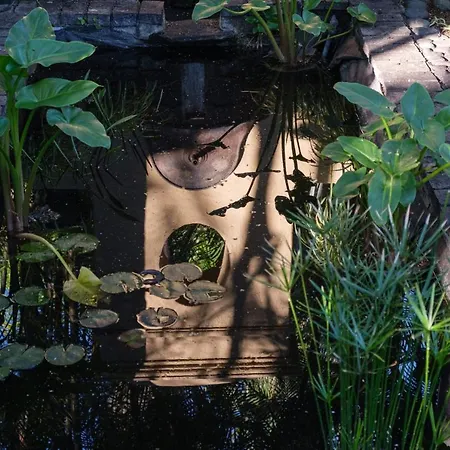 El Jardin De La Palapa Villa Los Realejos