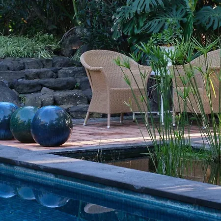 El Jardin De La Palapa *