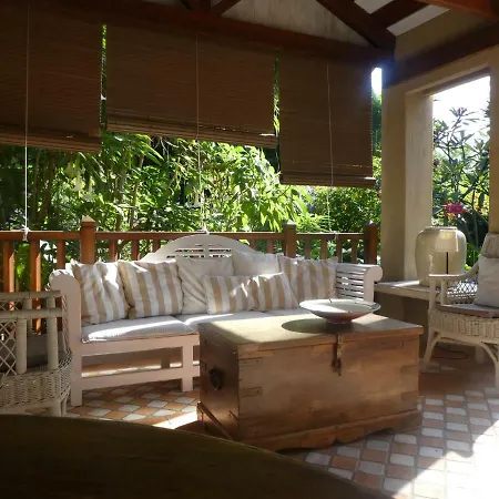 El Jardin De La Palapa Los Realejos
