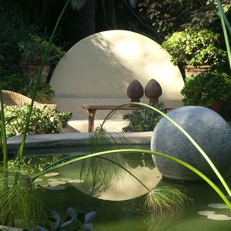 El Jardin De La Palapa Los Realejos