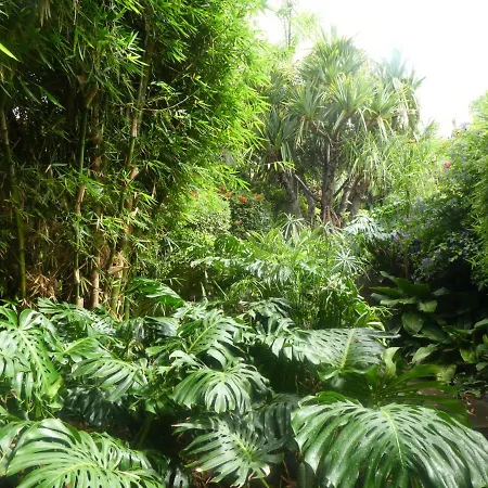 El Jardin De La Palapa * Los Realejos
