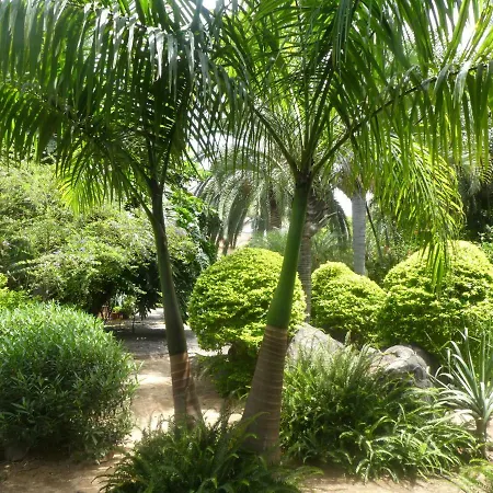 El Jardin De La Palapa *