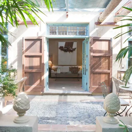 El Jardin De La Palapa Los Realejos