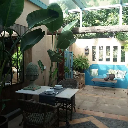 El Jardin De La Palapa *
